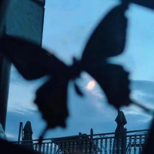 日本大码美女奶妈操逼BBw
